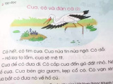 Ảnh minh họa
