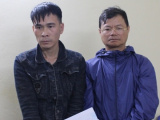 Ảnh minh họa