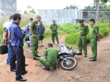Ảnh minh họa