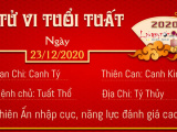 Ảnh minh họa
