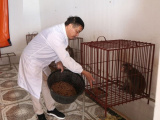 Ảnh minh họa