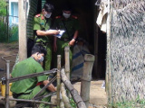 Ảnh minh họa