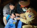 Ảnh minh họa