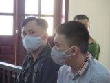 Ảnh minh họa