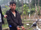 Ảnh minh họa