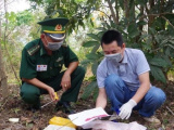 Ảnh minh họa