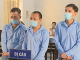Ảnh minh họa