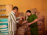 Ảnh minh họa