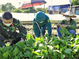 Ảnh minh họa