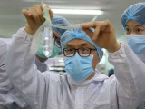 Ảnh minh họa