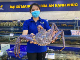 Ảnh minh họa
