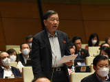 Ảnh minh họa
