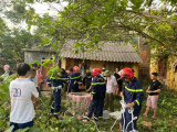 Ảnh minh họa