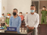 Ảnh minh họa