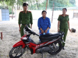 Ảnh minh họa