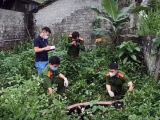 Ảnh minh họa