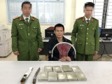 Ảnh minh họa