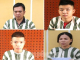 Ảnh minh họa