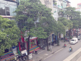 Hà Nội dừng chuyển hàng hoa sữa trên đường Nguyễn Chí Thanh