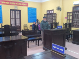 Ảnh minh họa