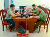 Ảnh minh họa