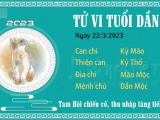 Ảnh minh họa