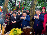 Ảnh minh họa
