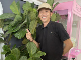 Ảnh minh họa