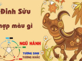Ảnh minh họa