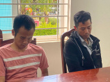 Ảnh minh họa