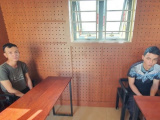 Ảnh minh họa