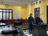 Ảnh minh họa