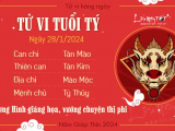 Ảnh minh họa