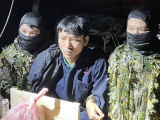 Ảnh minh họa
