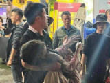 Ảnh minh họa