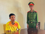 Ảnh minh họa