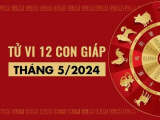 Ảnh minh họa