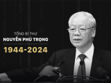 Ảnh minh họa