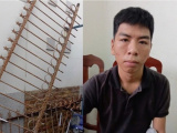 Ảnh minh họa