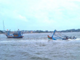 Ảnh minh họa