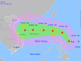 Ảnh minh họa