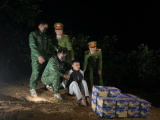 Ảnh minh họa