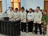 Ảnh minh họa