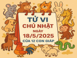 Ảnh minh họa