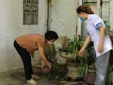 Ảnh minh họa