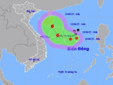 Ảnh minh họa