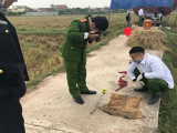 Ảnh minh họa