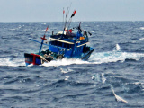 Ảnh minh họa