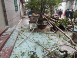 Ảnh minh họa
