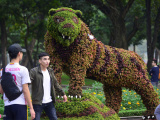 Ảnh minh họa